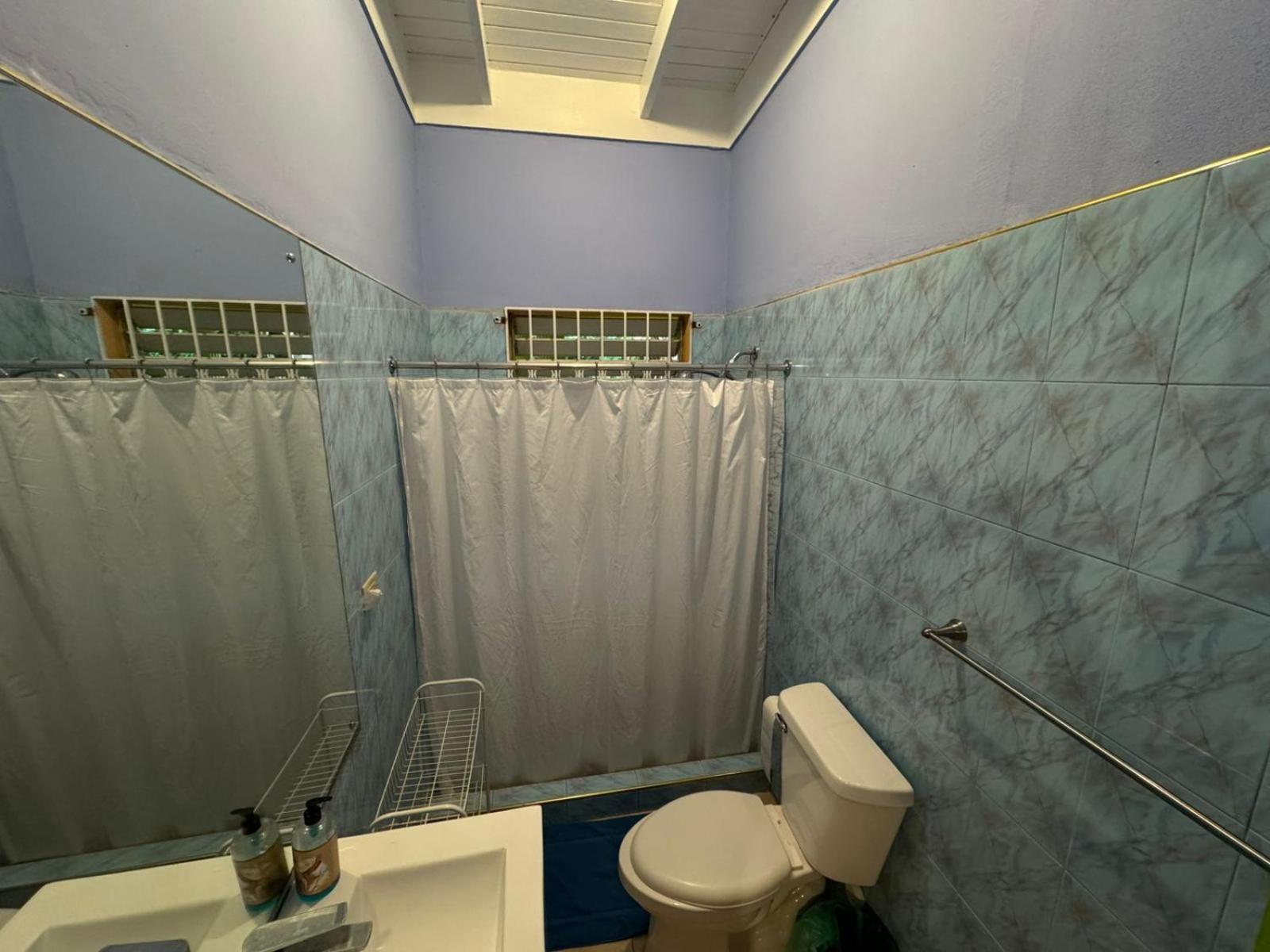 Shalom Suite 2, Manor Park Kingston Eksteriør billede