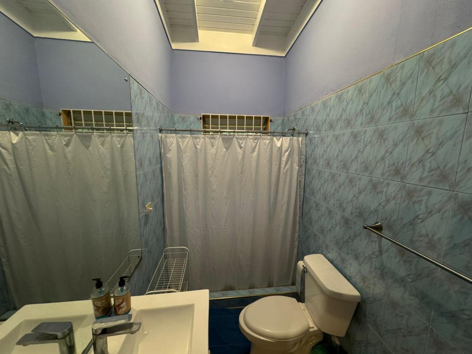 Shalom Suite 2, Manor Park Kingston Eksteriør billede